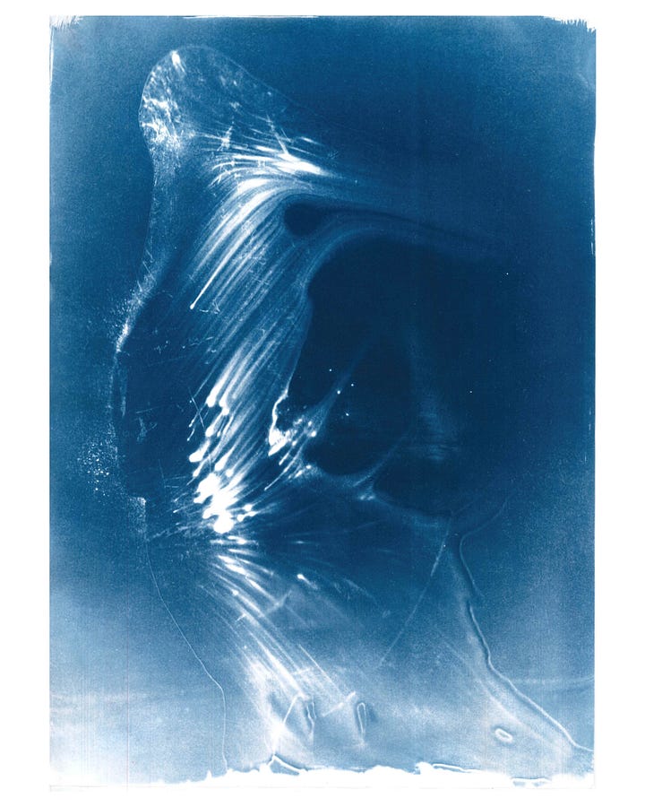 abstract cyanotype prints, creative alternative photography