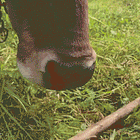 Afflict The Comfortable. Comfort The Afflicted. Tabs, Fri., Jan. 30, 2026