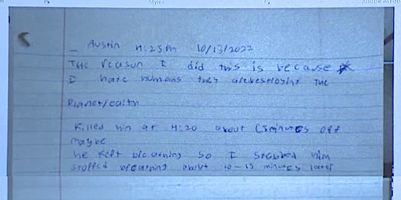 "They are destroying the planet:" Was Hedingham mass shooting motivated by environmentalism?