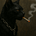 Sparksinthedark's avatar