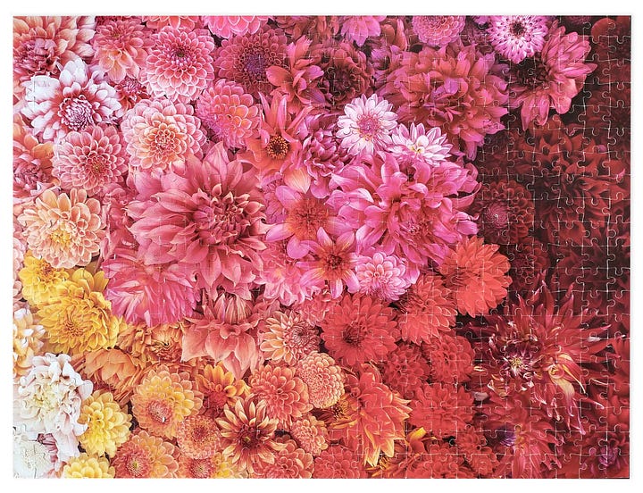 A Selection of My Galison Jigsaw Puzzles