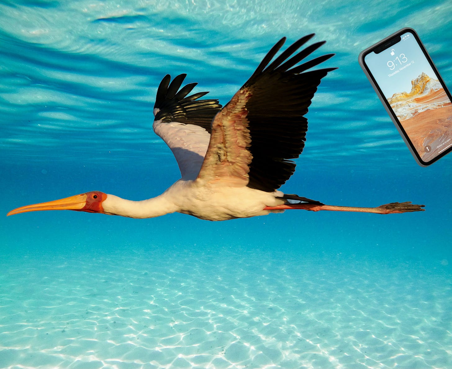 A stork and a mobile phone underwater A stork and a mobile phone underwater