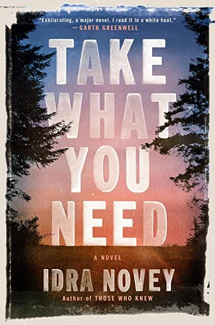 Take What You Need by Idra Novey