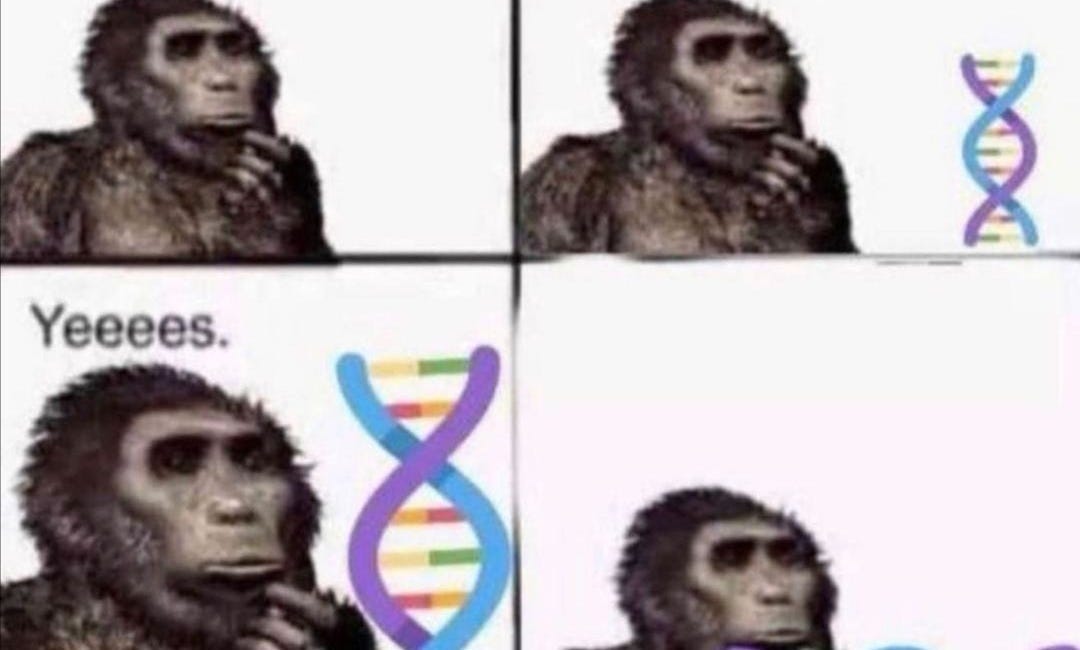 "The Purpose Of Life Is Reproduction" Says The Idiot