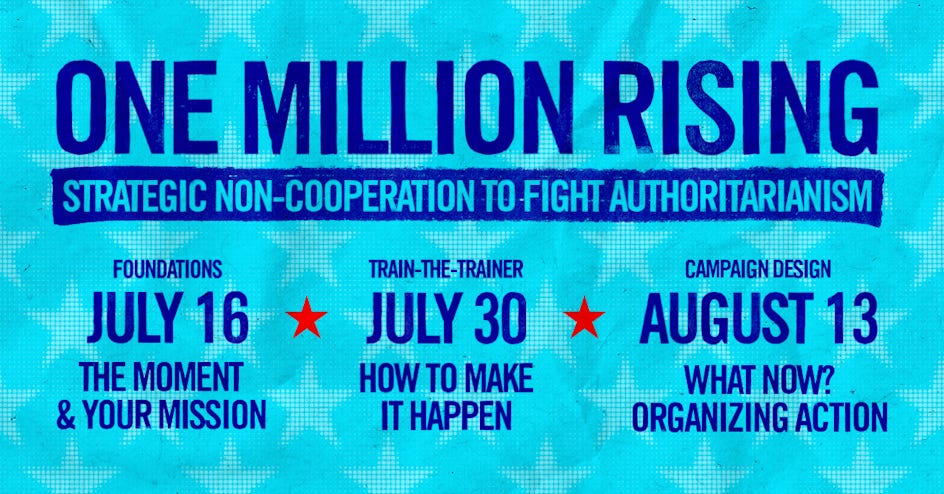 One Million Rising: Strategic Non-Cooperation to Fight Authoritarianism organized by No Kings