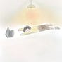 Miho Oashi's avatar