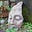 The Collective Whisper's avatar