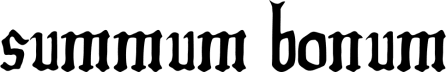 Summum Bonum