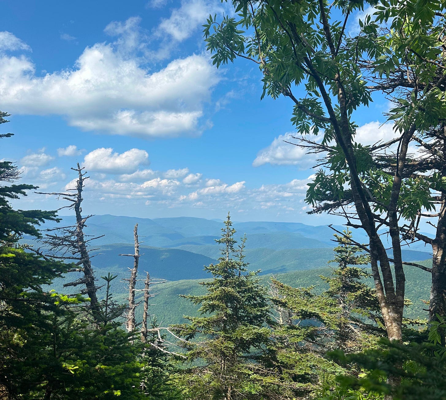 neversink new york postcardsbykayla travel blog