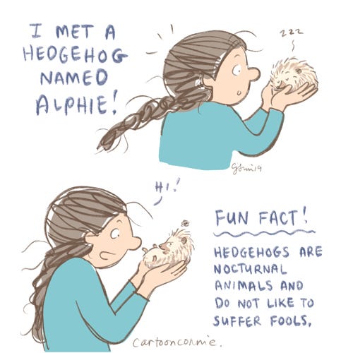 sketchbook, sketch, drawing, cartoons, illustration, hedgehogs, fun facts, cartoonconnie, connie sun