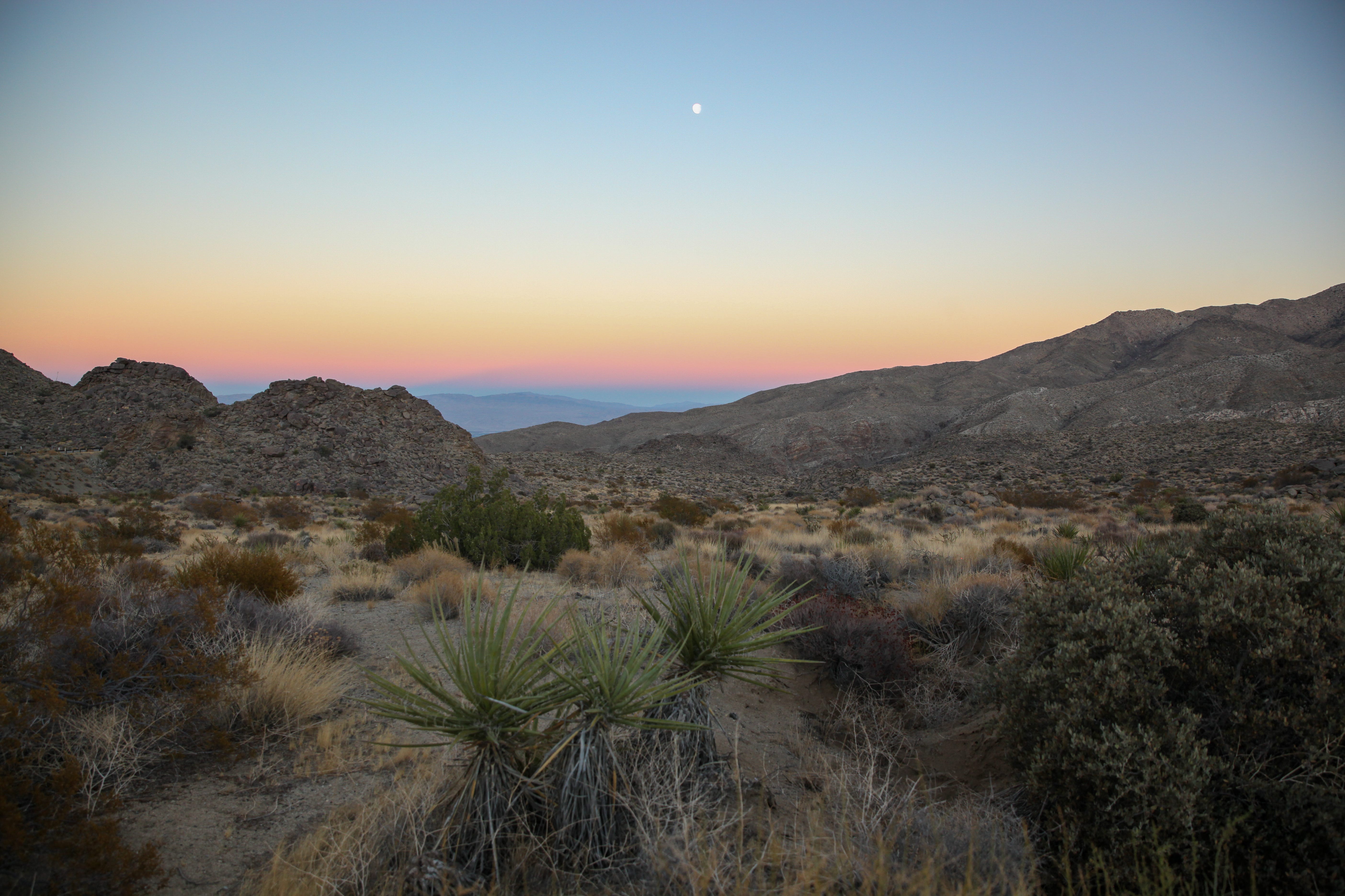 Dispatch #47 - Santa Rosa and San Jacinto Mountains National Monument