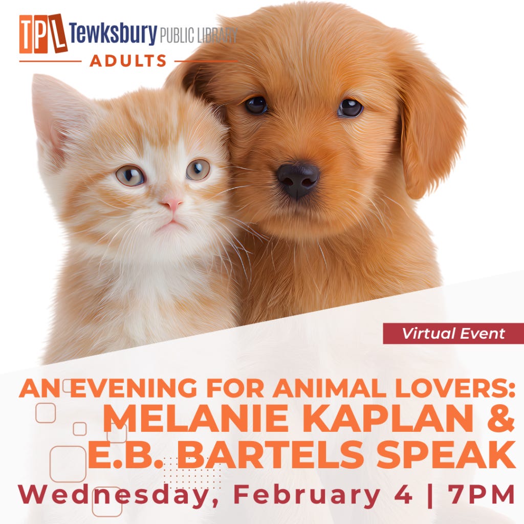 Stock image of a kitten and puppy for Tewksbury Public Library virtual book event. Stock image of a kitten and puppy for Tewksbury Public Library virtual book event.