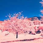 The Grace We Give Others, But Never Ourselves