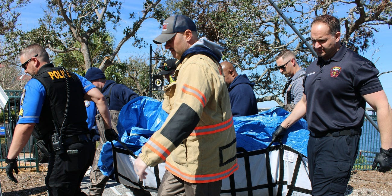 Deceased Manatee Discovered At Bradenton Riverwalk