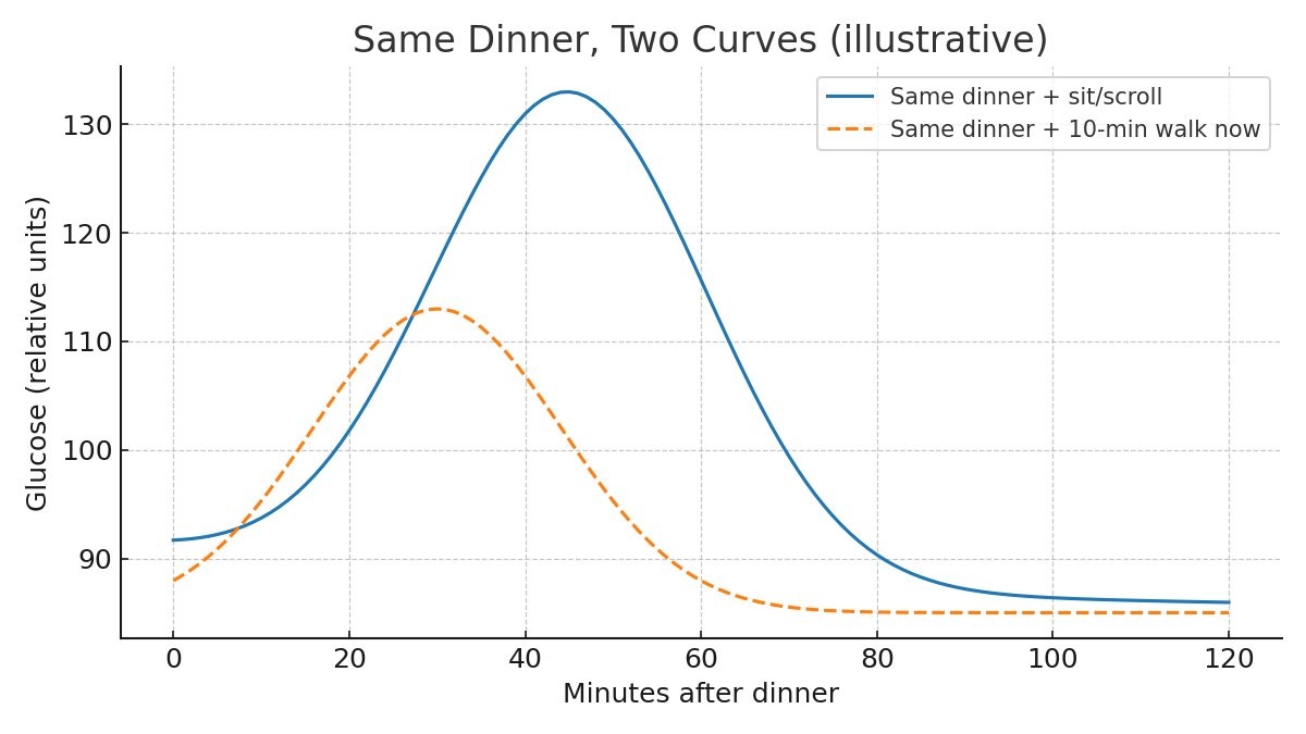 Line chart: solid line (“sit/scroll”) has a higher, later peak; dashed line (“10-min walk now”) has a lower, earlier peak. X = minutes after dinner; Y = glucose (relative units).