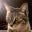 KittyB's avatar