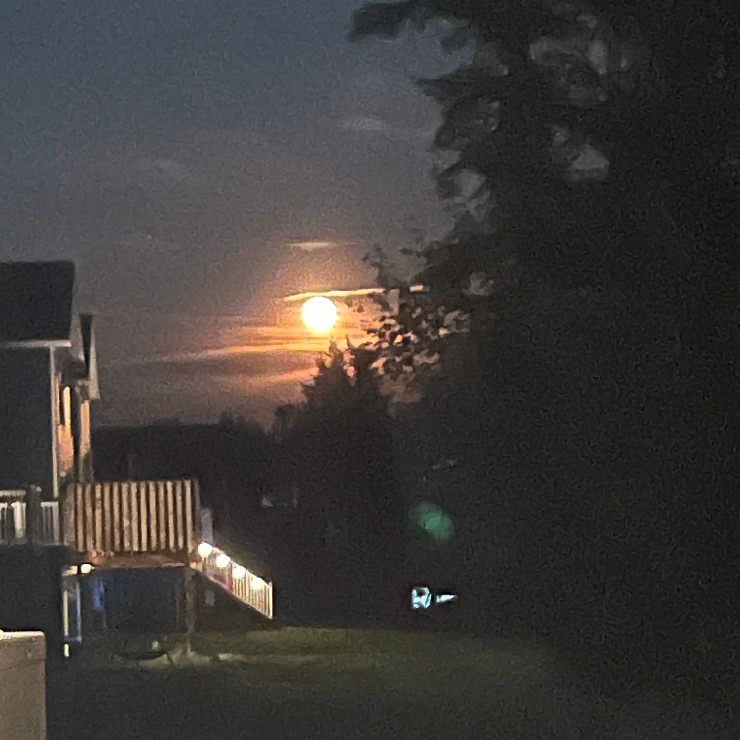 A fuzzy picture of the moon in a backyard. Backs of houses on the left. The woods on the right.