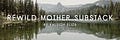 Rewild Mother