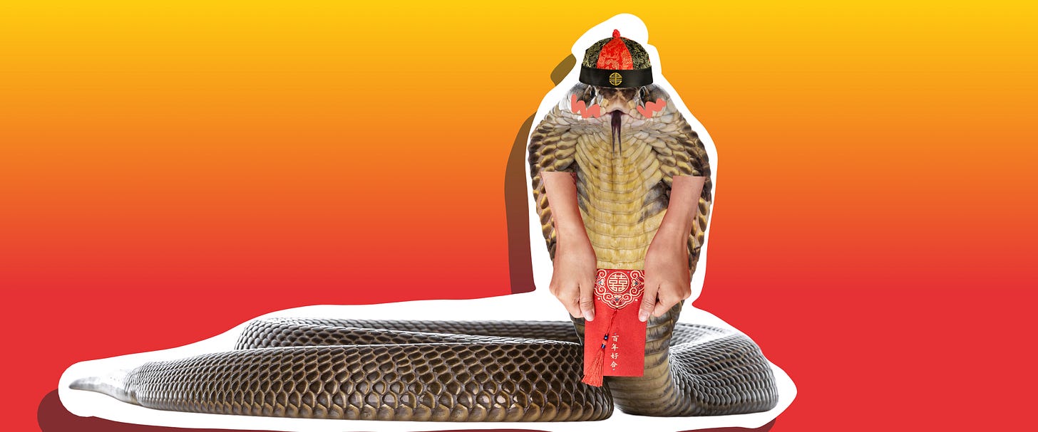 A shy cobra handing you a red envelope of lucky money for Chinese New Year
