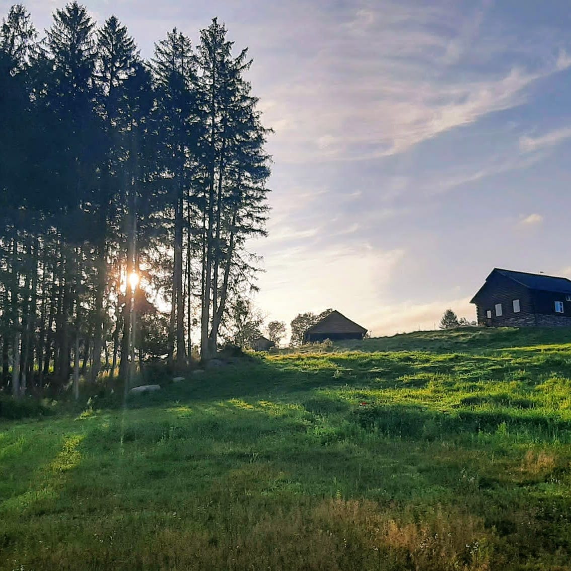 Hymns from Wildsong Gaian Sanctuary