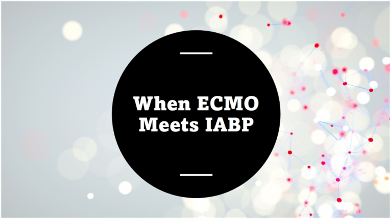 A romantic Relationship? A romantic Relationship?