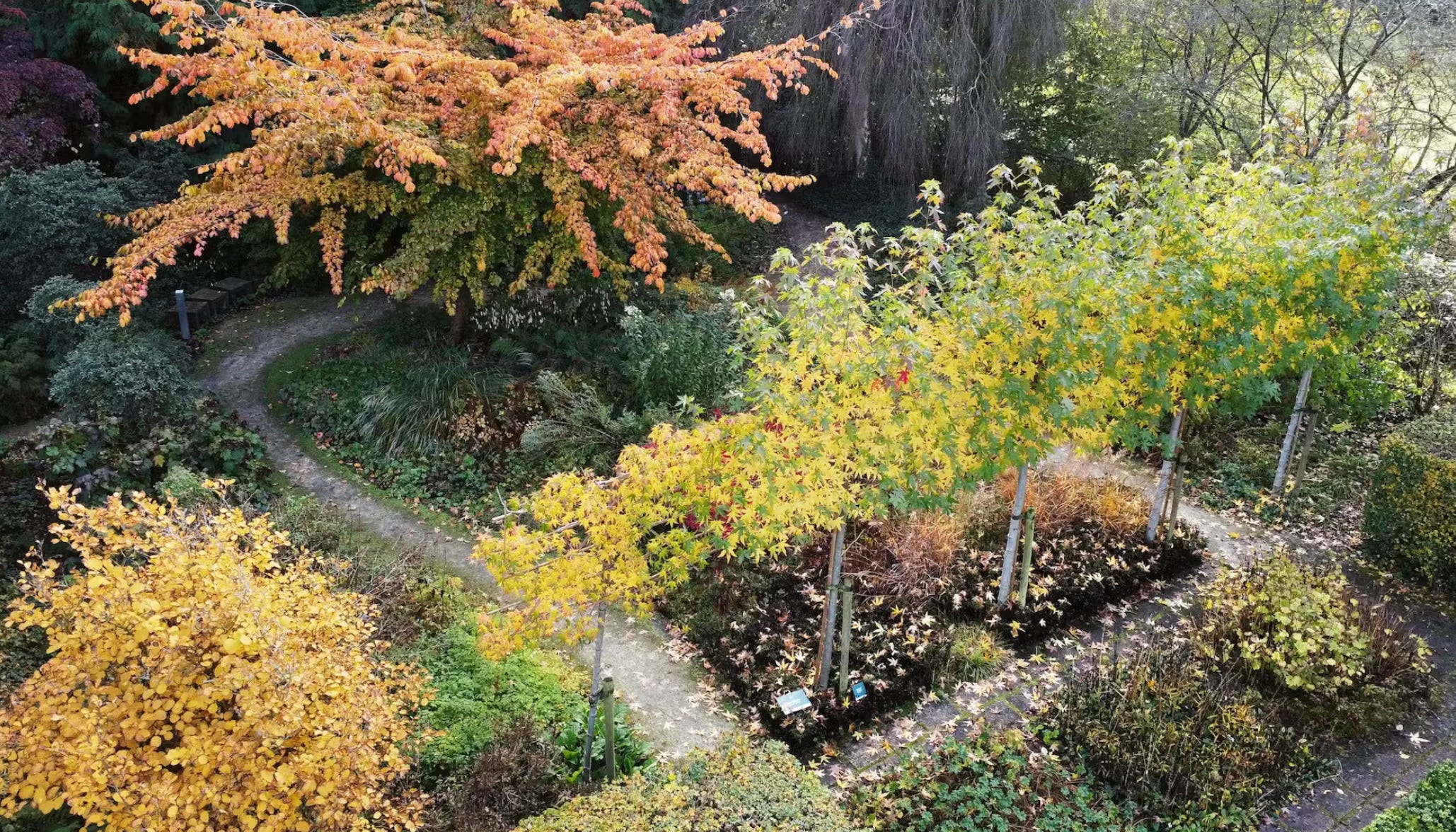 The Garden Minute: Hedgehogs, Hayloft Review & Home to 2,500 Species of Tree