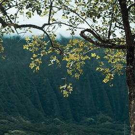 Mindfulness: The Art of Not Losing Your Mind (Even When You Want To)