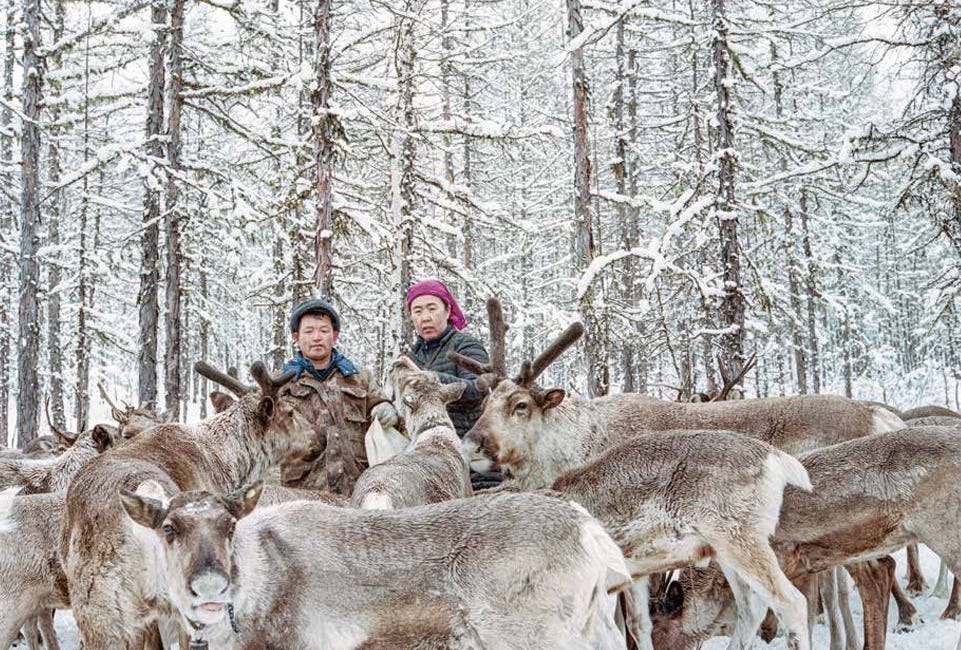 The Negative Carbon Empire: How China's Remote North Turned a Liability into a National Asset