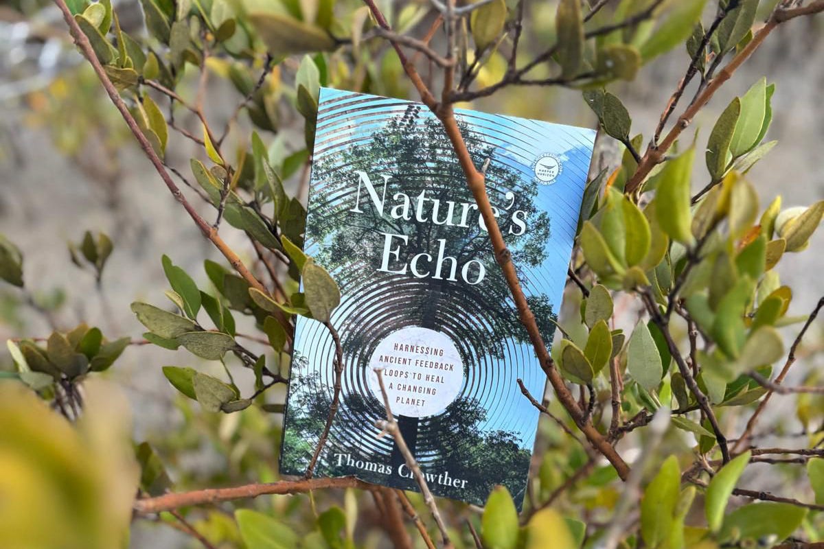 Nature's Echo Nature's Echo