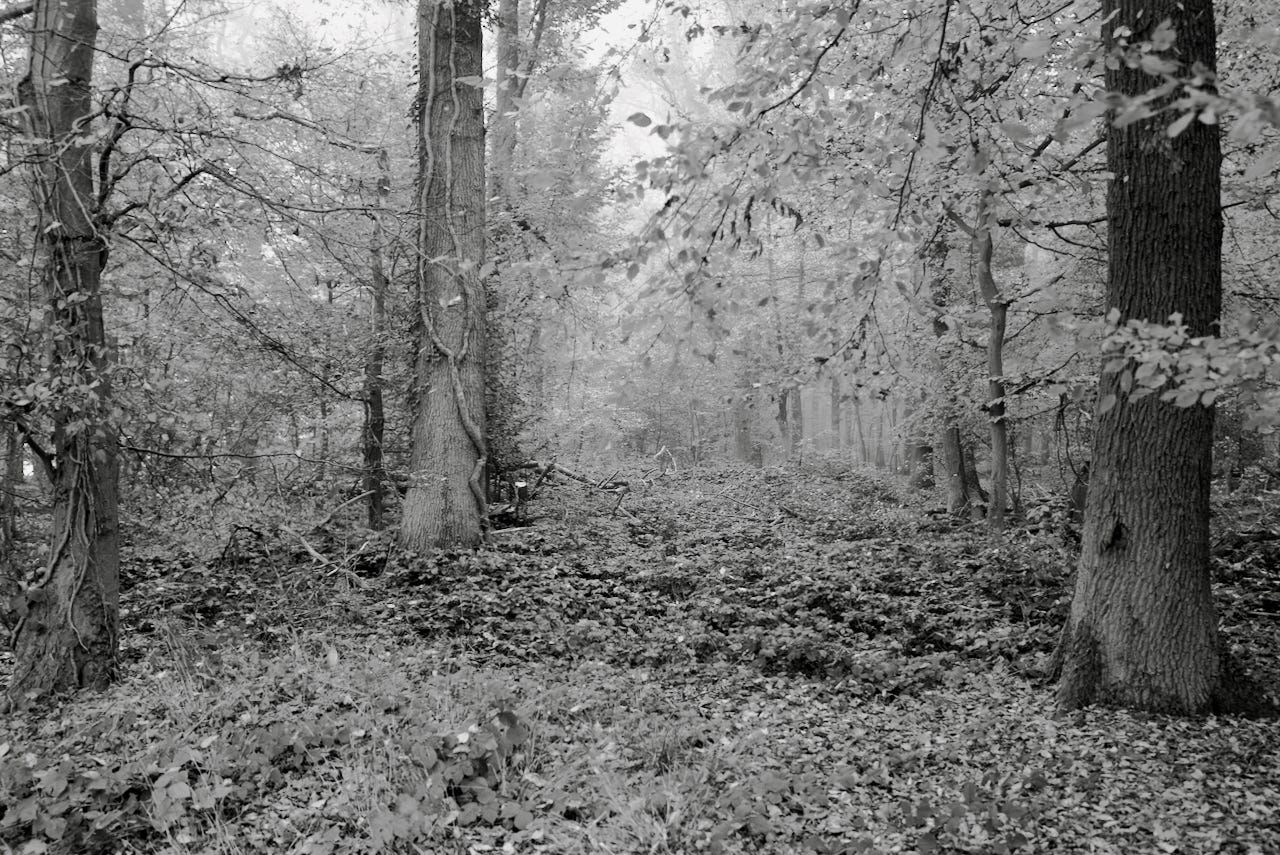Natur – Sascha Büttner Fotografie