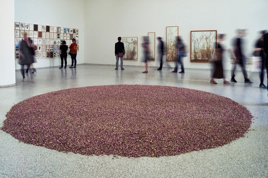 herman de vries, ‘108 pound rosa damascena (Installation view)’, 2015, Installation, 56th Venice Biennale