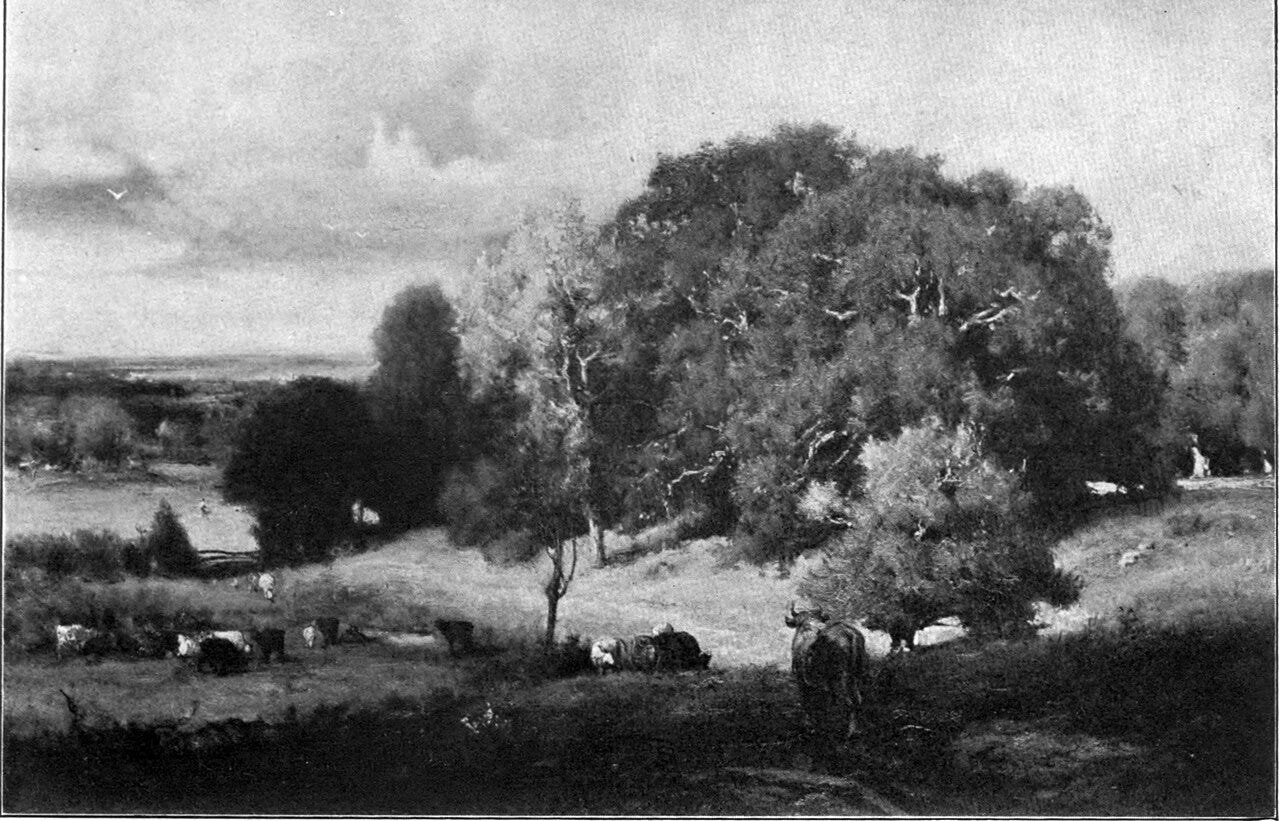 Coppery oaks in a hazy meadow with a grazing cow Coppery oaks in a hazy meadow with a grazing cow