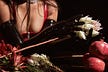 Empress’s Newsletter