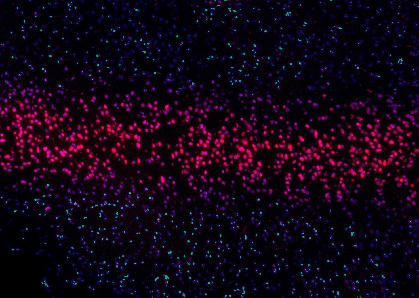 Shaping the Future with Gene Editing: The Collective Role in the Genomic Revolution