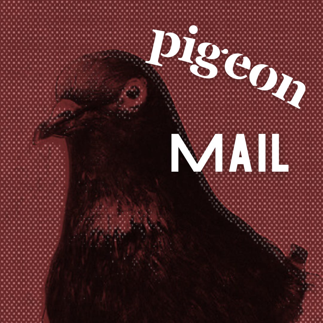 Artwork for Pigeon Mail
