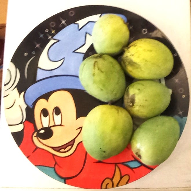6 mangos on a Mickey platter 6 mangos on a Mickey platter