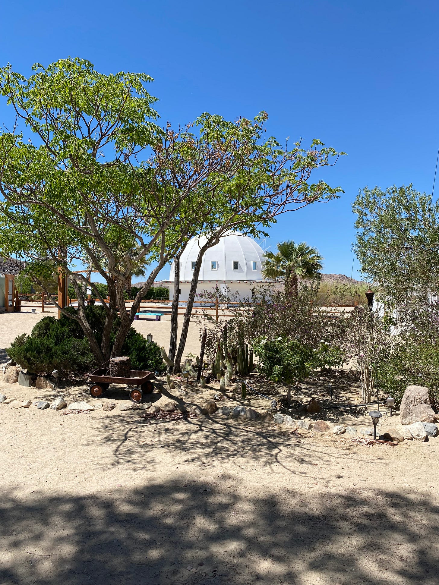 A sunny desert day with a white dome in the background.