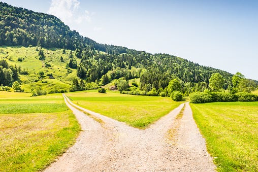 Different Paths Pictures | Download Free Images on Unsplash