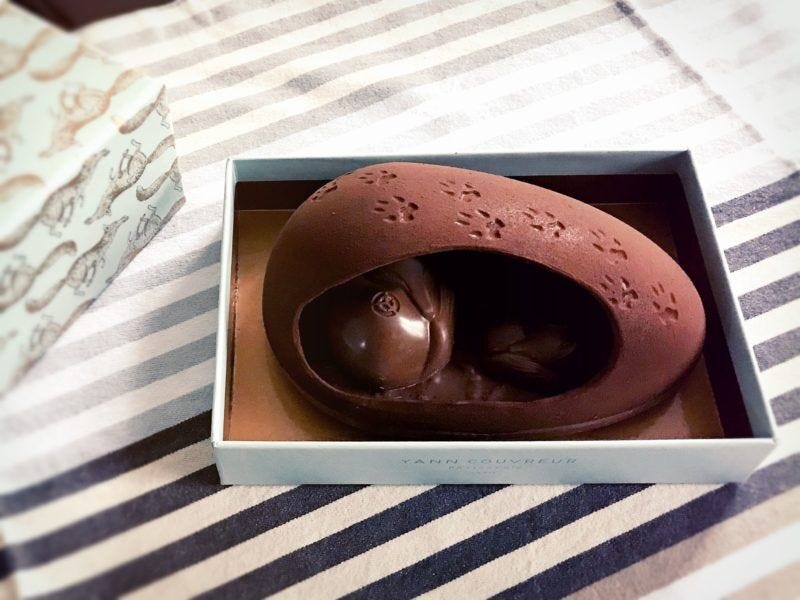 Oeuf terrier Yann Couvreur