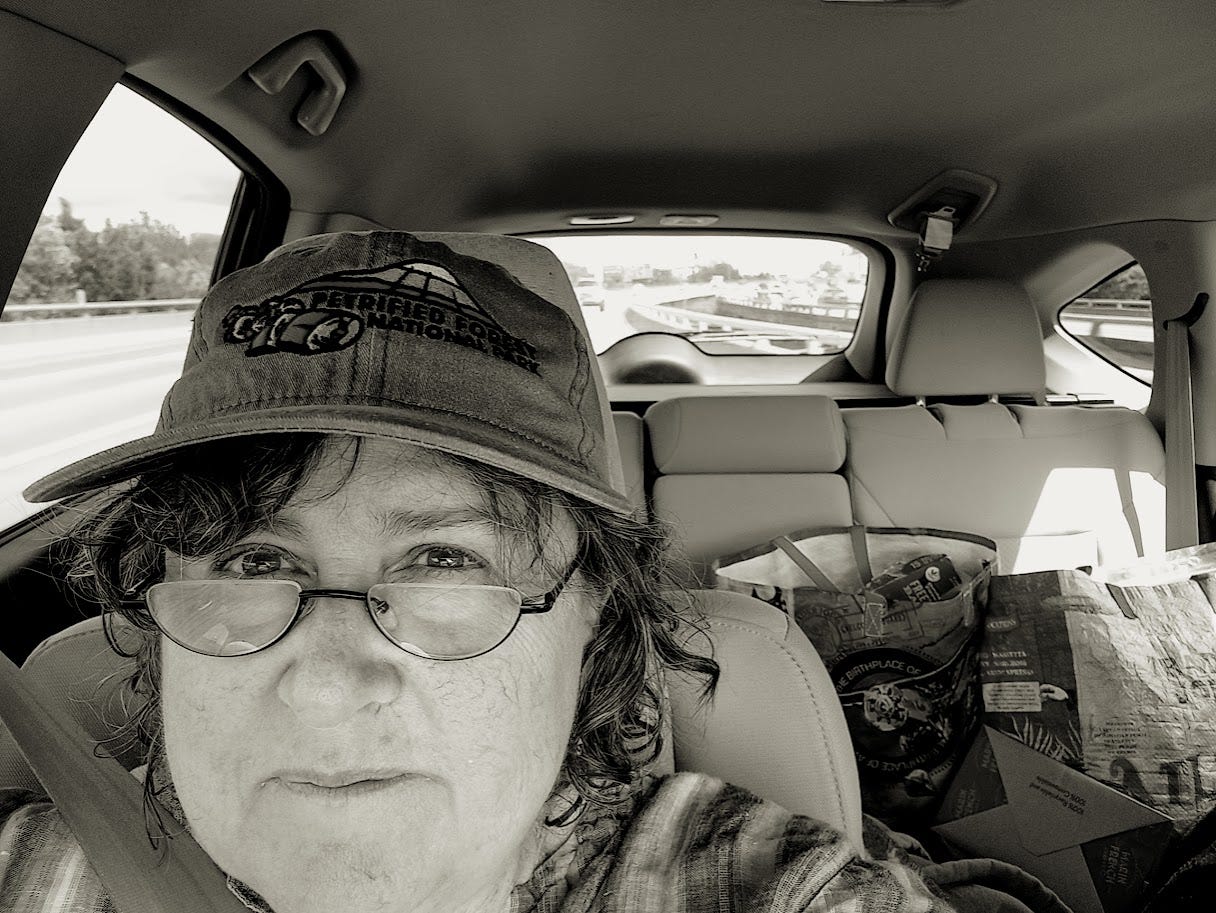 Annette takes selfie from passenger seat of car on freeway
