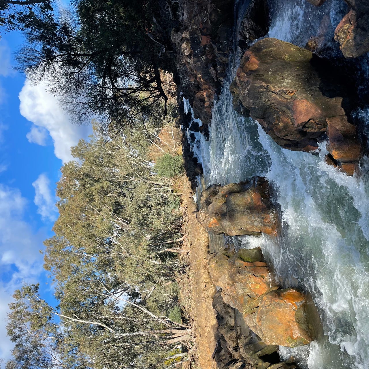 My Heart Brings Me Here