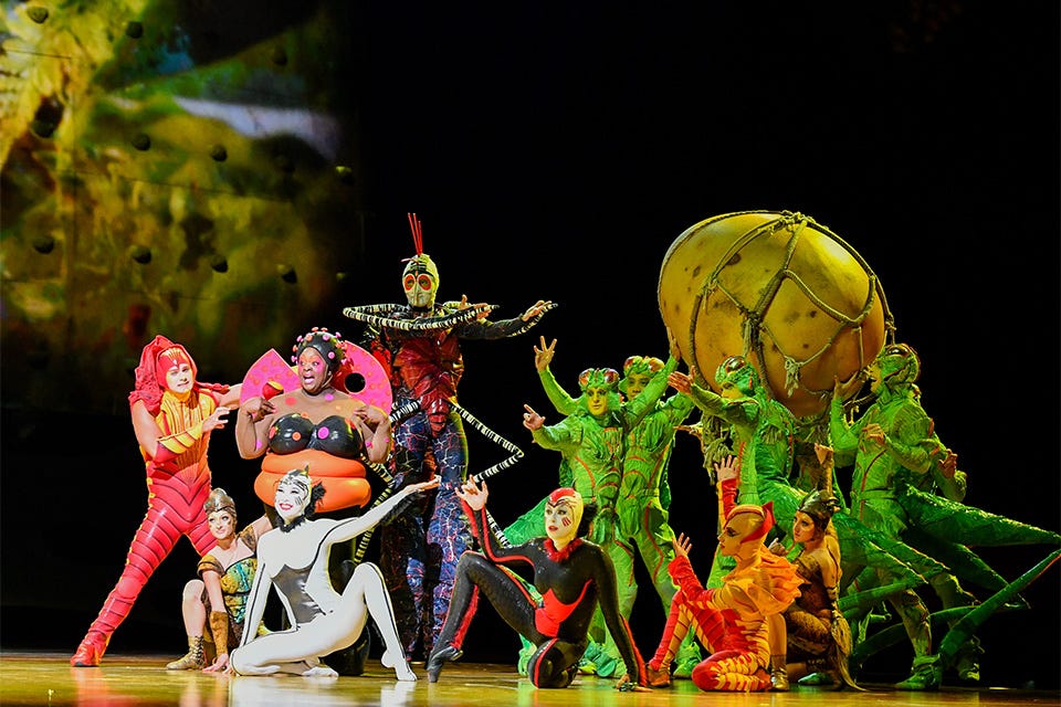 Insects Take Center Stage at Cirque du Soleil OVO