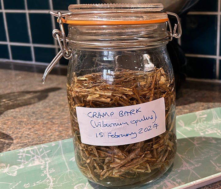 Four images showing dried cramp bark on scale and in jar with added alcohol mixture