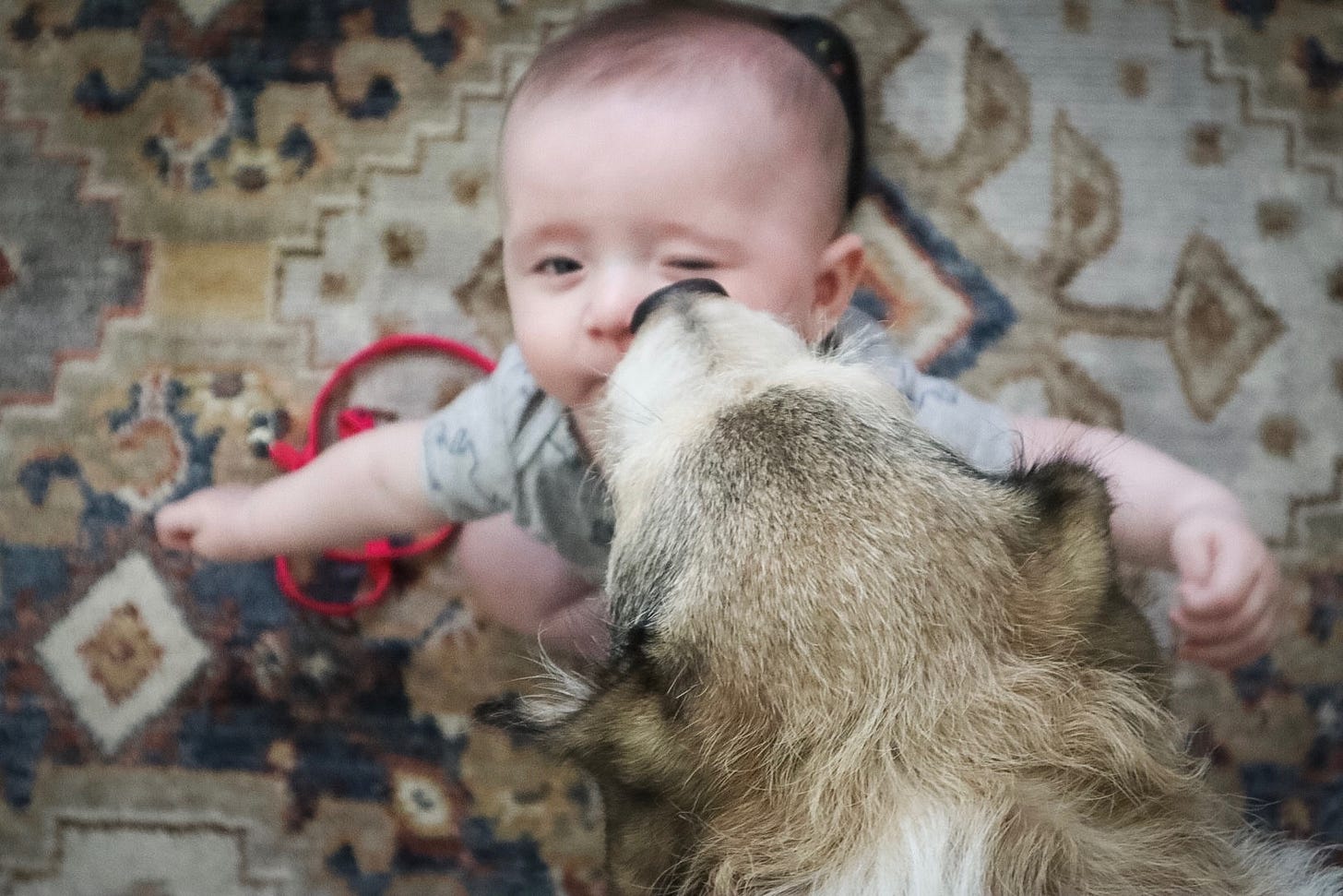 #MadeIn365Days - Photo Diary Week One