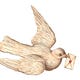 palomas mensajeras