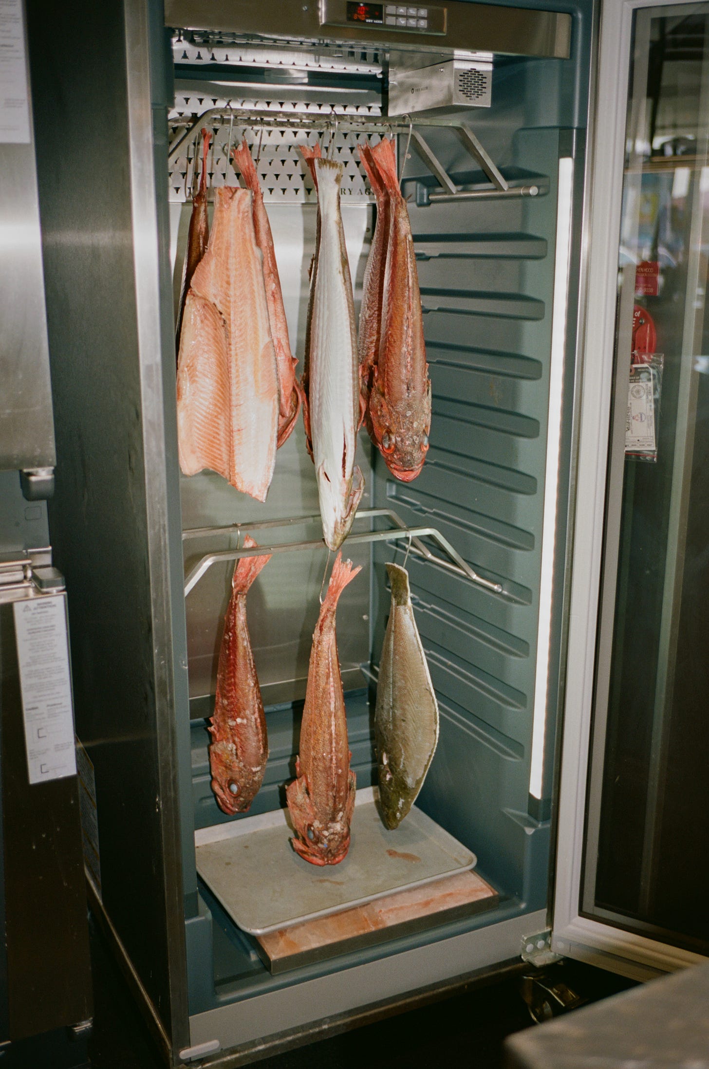 Dry-aging fish