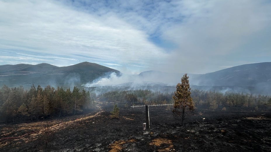 Scorched earth after a wildfire in the Cairngorm National Park with pine trees, billowing smoke and mountains in the background.