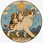 TOXICCAT | JP Algo Dev's avatar