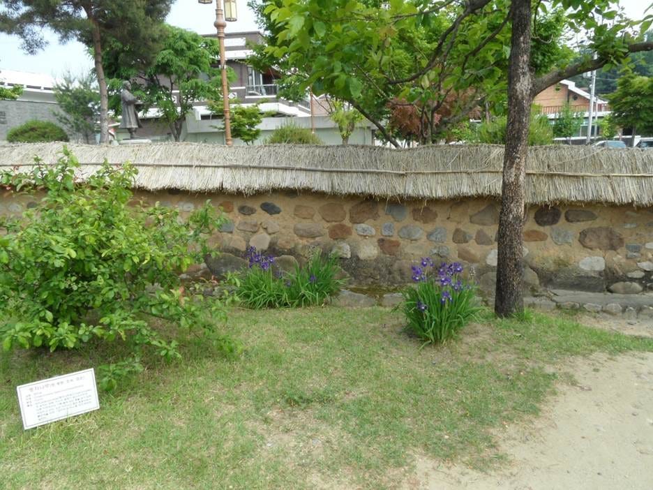 A grass wall with a sign

AI-generated content may be incorrect.
