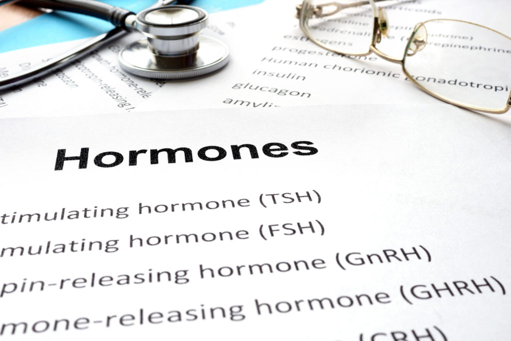 hormones brain neuroleadership